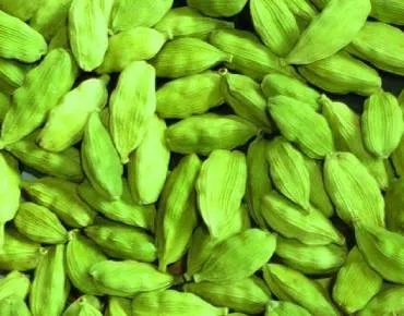 Green cardamom pods