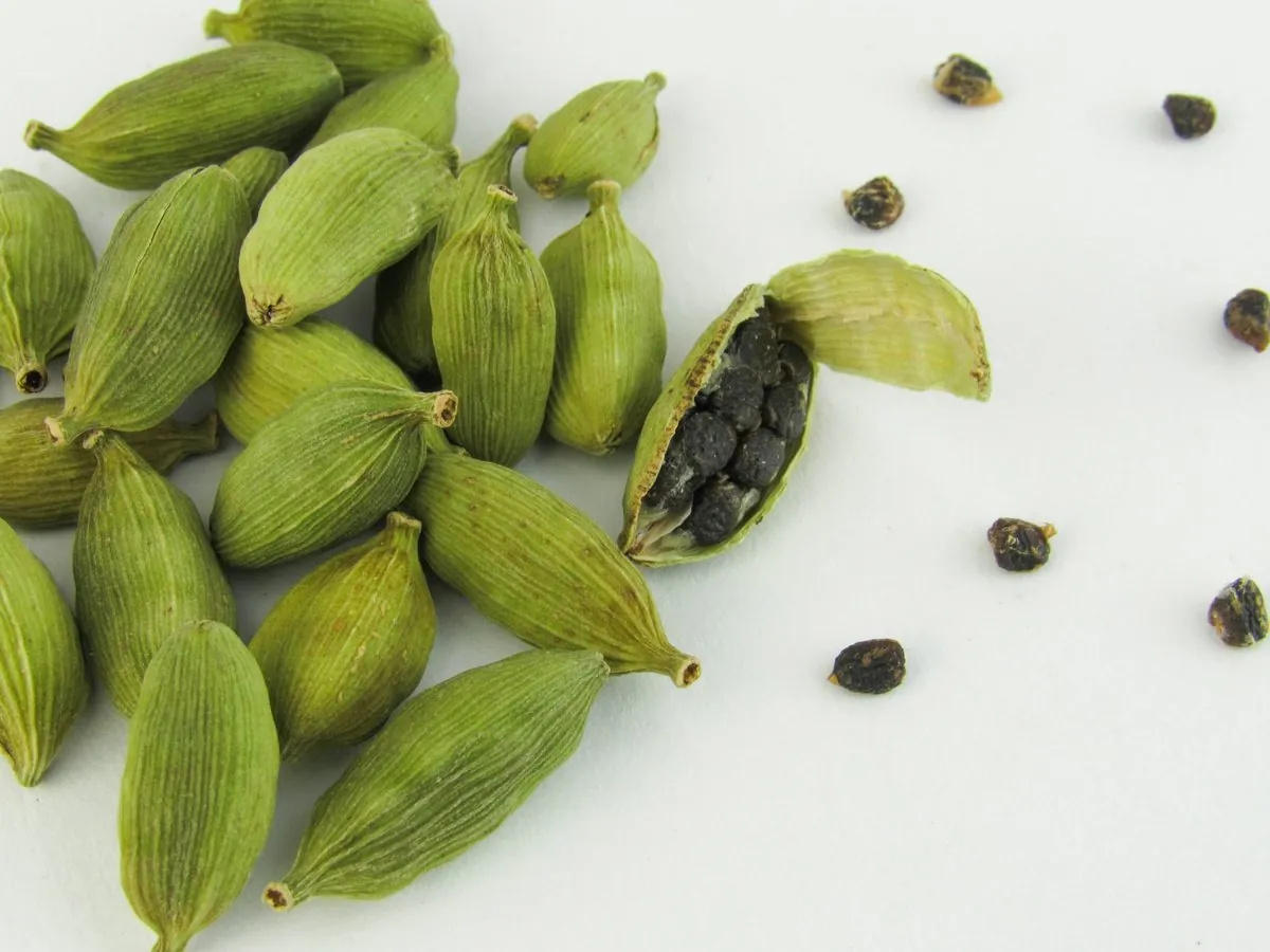 Checking the quality of green cardamom pods