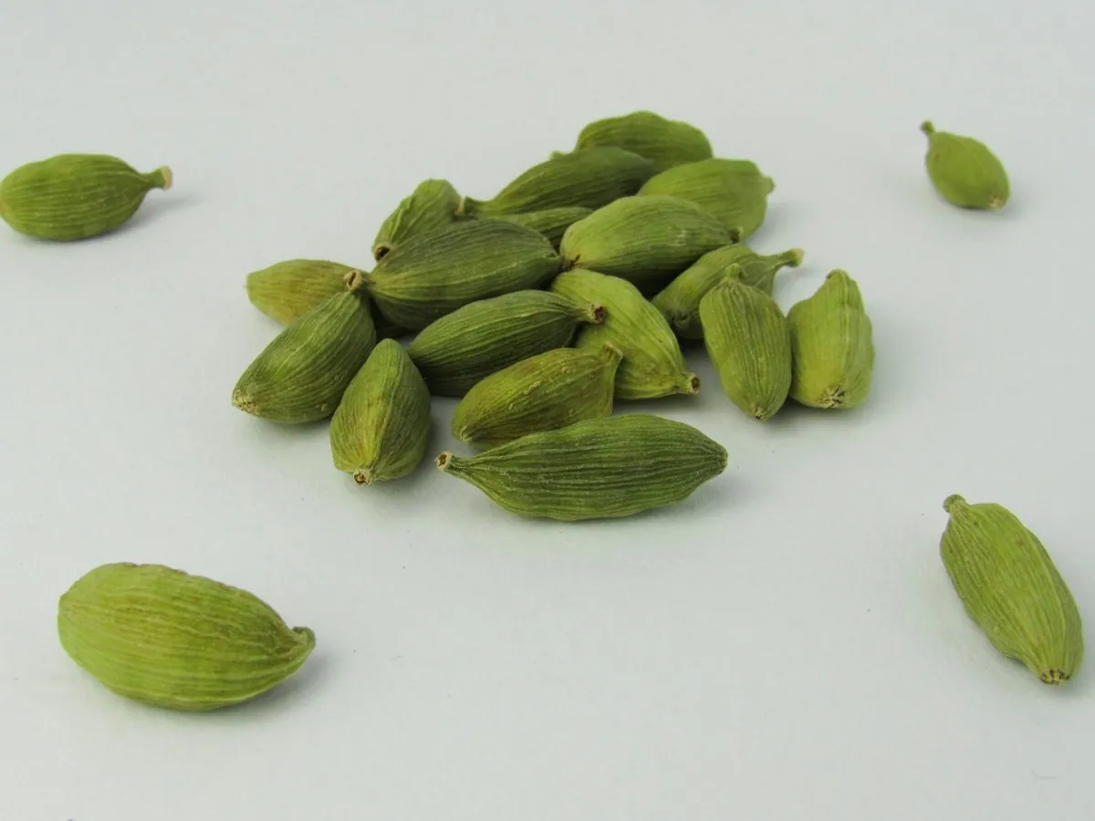 Green cardamom pods of different grades and sizes