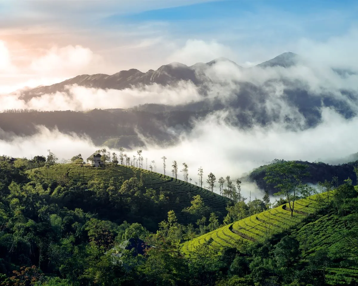 Layers of misty green hills in the Western Ghats