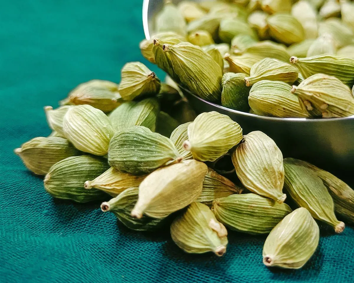 Close-up of bright green dried cardamom pods
