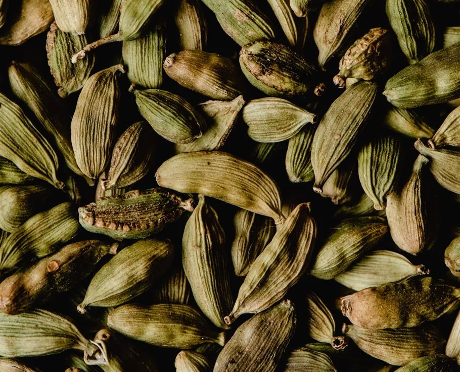 Dried green cardamom pods