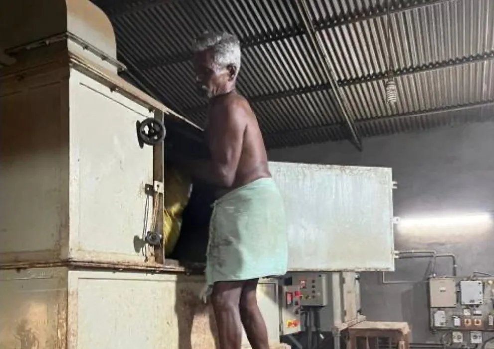 Worker loading cardamom into the dryer at our drying unit